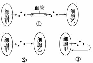 什么是神经递质?一个化学物质被确认为神经递质应符合哪些条件