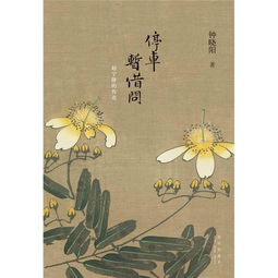 《停车暂借问赵宁静的传奇》txt下载在线阅读全文,求百度网盘云资源_百