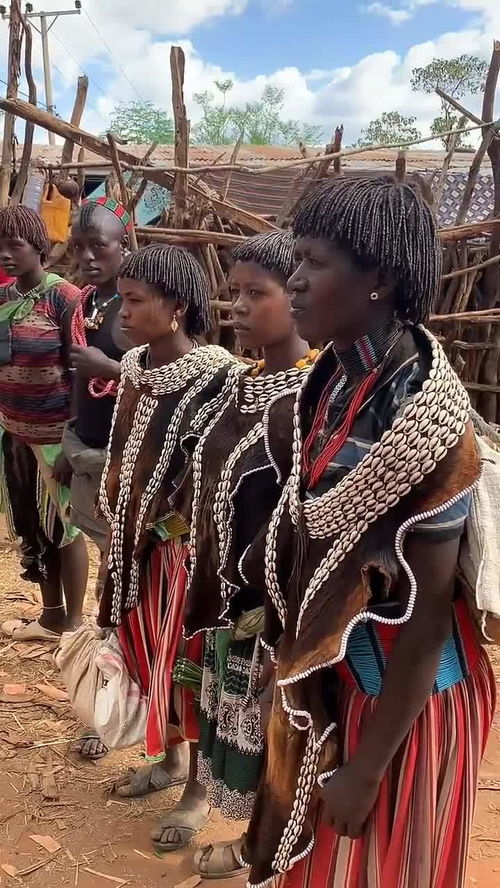 同姓同派,过了几代称为族人