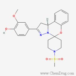 木莲图片，木莲藤图片