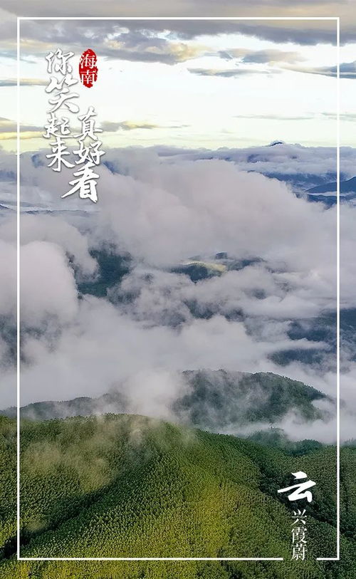 云兴霞蔚什么意思