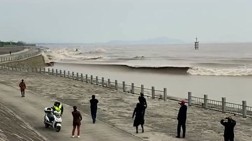 闷雷滚动的意思