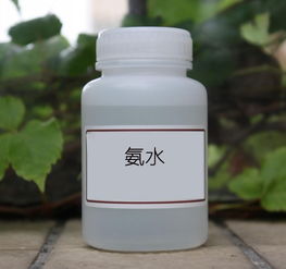 氨水的化学式电离方程式，氨气的化学式