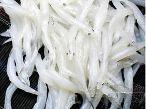 中国太湖的三种河鲜类特产是什么?