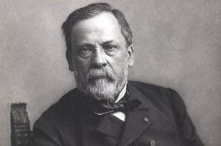 pasteurisation，pasteur warriors XO价格