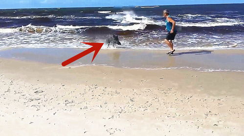 最适合带孩子去的海边