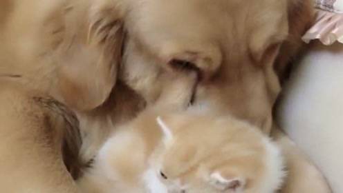 龇牙咧嘴的意思。