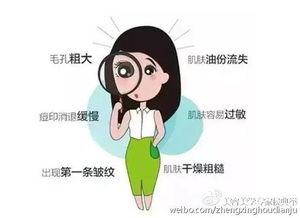 审视的拼音，审视瑶函出自哪个朝代