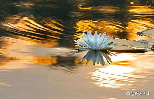 天道无亲是什么意思，天道无亲常与善人的理解