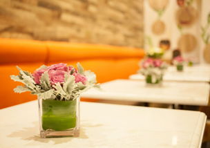 学会宽容议论文素材，学会宽容议论文800字高中