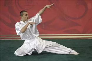 蛇拳招式，蛇拳的克星是什么拳