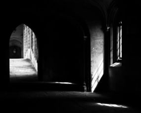 审视的拼音是什么