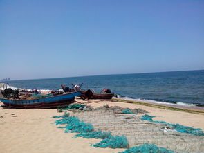 海边游玩作文300字三年级，海边游玩作文400字四年级