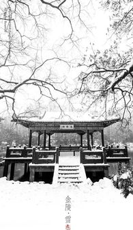 《入朝曲》的作者是谁?