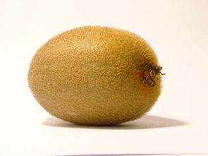 kiwi(英语)什么意思