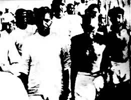 非暴力不合作什么意思