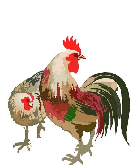 鸡生肖是哪几年