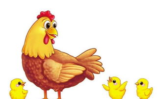 鸡生肖是哪几年，鸡生肖年份