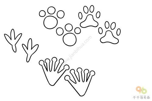 动物的脚简笔画卡通图片，动物的脚简笔画视频