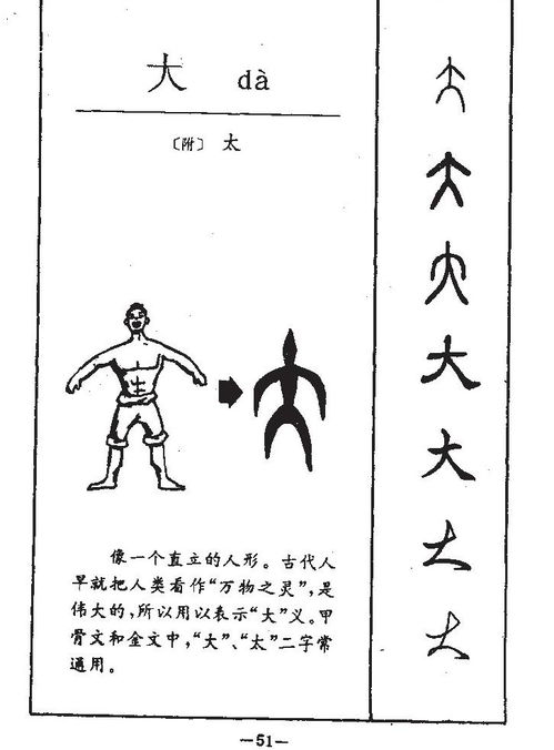 大字五行属什么