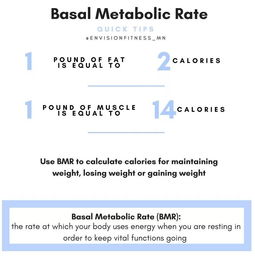 减肥是名词还是动词?