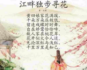 江畔独步寻花(其一)译文?