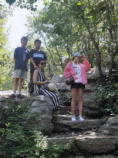 兴致勃勃的意思是什么解释词语，猴子建筑师中兴致勃勃的意思