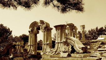 火烧圆明园读后感300字，火烧圆明园读后感400