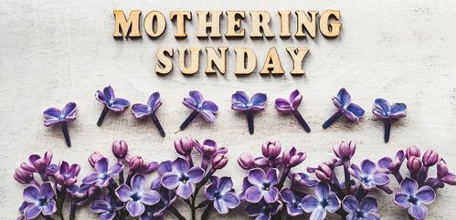 拜望用在什么场合