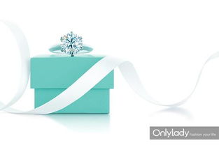 settings是什么意思