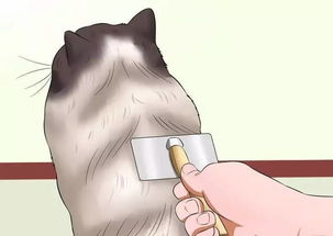 抓耳挠腮造句子