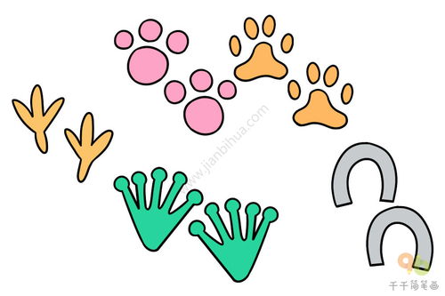 如何画乌龟的简笔画,乌龟的脚和尾巴有几种画法