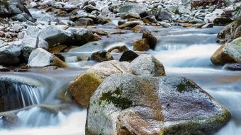 烈火焚烧若等闲的上一句拼音，任尔东西南北风前一句