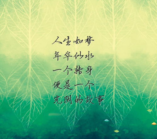 人生如梦,一樽还酹江月是什么意思。