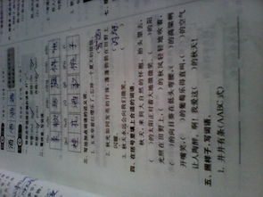 永远的反义词是什么二年级，永远的反义词是什么 标准答案-反义词大全