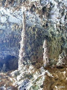 瘴疠怎么读，瘴气是什么气体