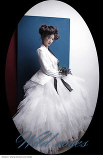 罂缶什么意思怎么读，罂怎么读