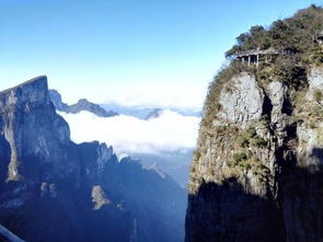 张家界怎么请正规导游