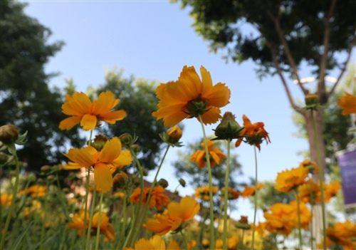 记录美好瞬间的短句 照片留住美好瞬间的句子(47句)