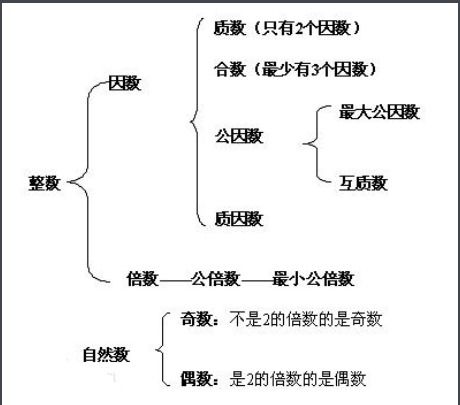 23的因数有哪些算式，24的因数有哪些