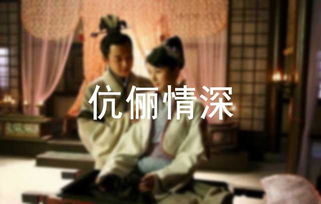 伉俪是什么意思?