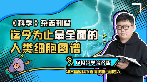 长足的进步怎么理解长足的进步是什么意思