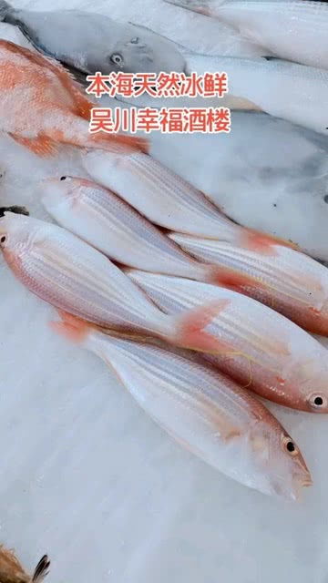 海鲜类的冻品和冰鲜到底有什么区别?