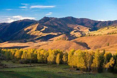 玉树天气预报今天查询，玉树天气预报30天查询