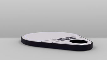 scale什么意思，scalar