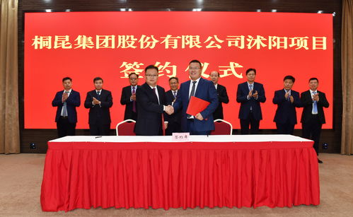 济正集资案的事件起因