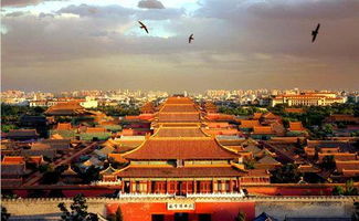 museum怎么读音发音英语，bookstore怎么读