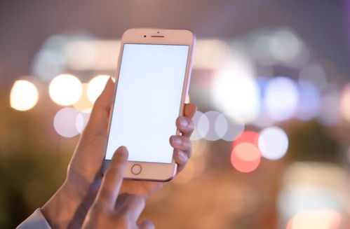 辽宁西丰天气预报查询，辽宁西丰天气预报30天