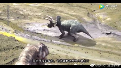 什么是卵生?什么是胎生?