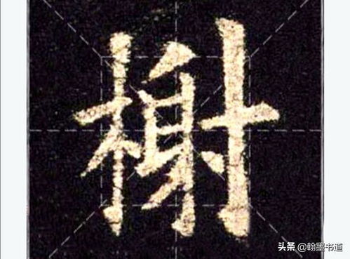 寸字旁的字有哪些字一年级下册，寸字旁的字有哪些字 视频